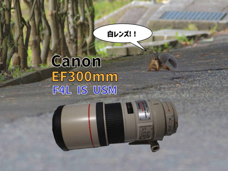 格安最新品 Canon - EF300mm F4L IS USMの通販 by キウイ's shop